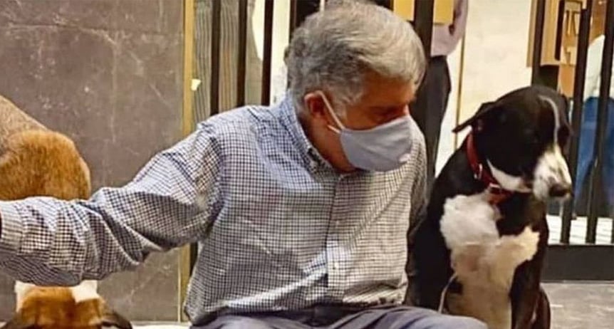 رتن ٹاٹا کے دلچسپ قصے: جب اپنے بیمار کتّے کی وجہ سے ایوارڈ لینے کے لیے لندن نہیں گئے