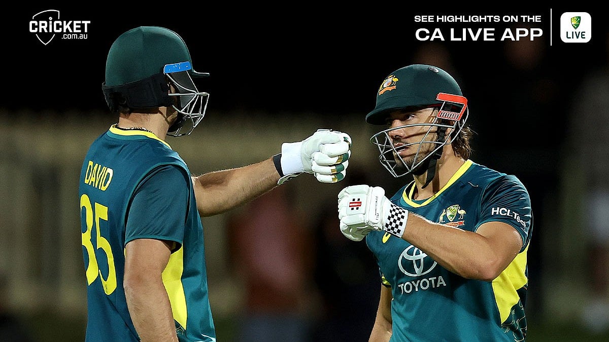 <div class="paragraphs"><p>مارکس اسٹوئنس اور ٹم ڈیوڈ، تصویر&nbsp;<a href="https://x.com/cricketcomau">@cricketcomau</a></p></div>