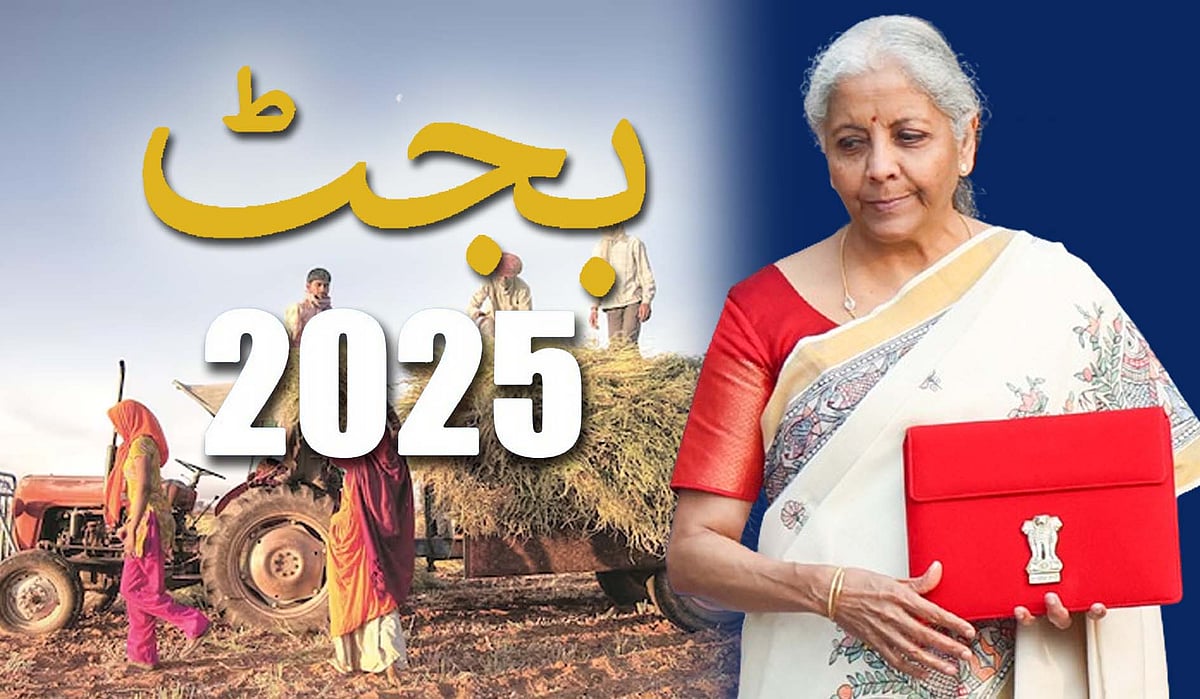 یونین بجٹ 2025: کسانوں کے لیے سستے قرض کی نئی حد 5 لاکھ روپے، کم شرح سود پر ملے گا قرض