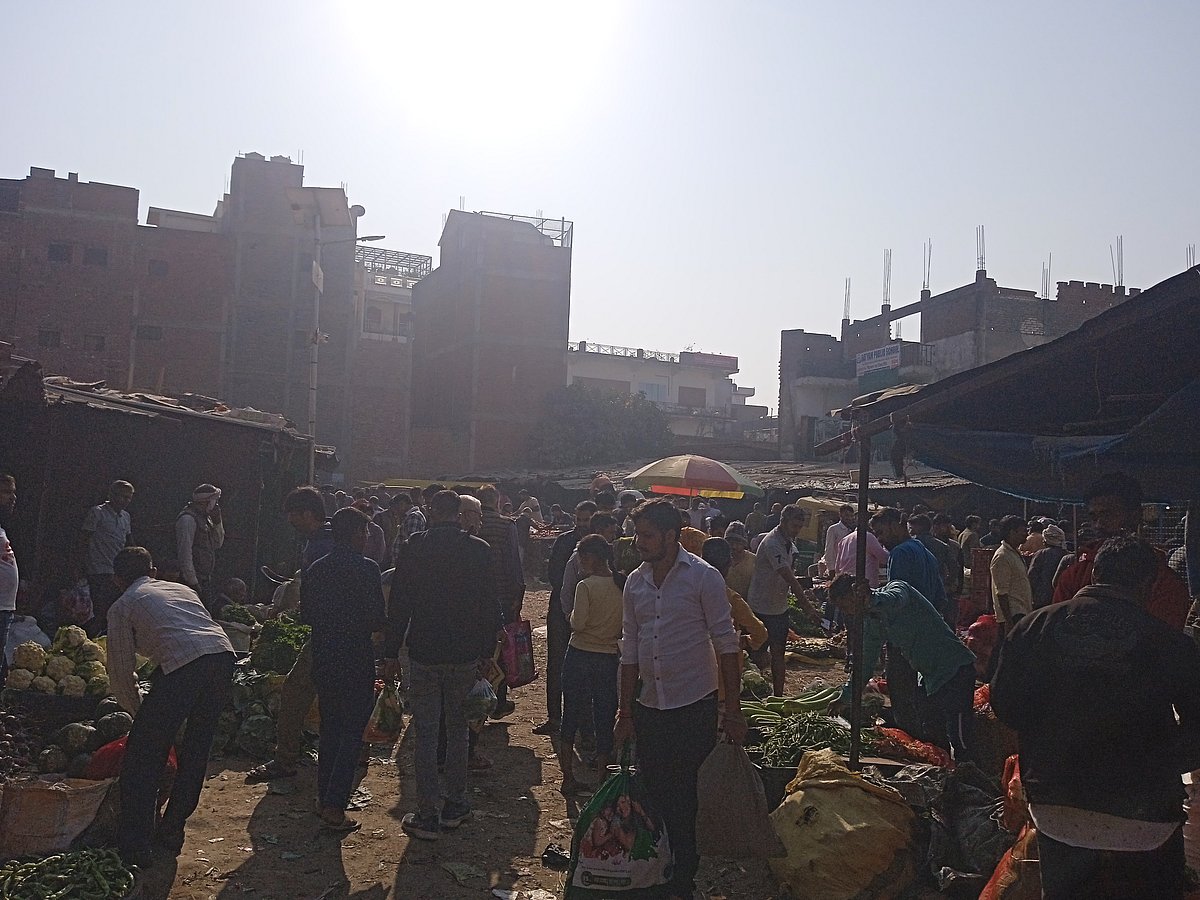 مہاکمبھ اور پریاگ راج کے سبزی کسانوں کا المیہ... ہرے رام مشر