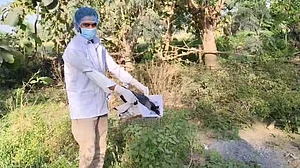 بہار میں 20 کوّوں کی پراسرار موت، برڈ فلو کا شبہ مسترد