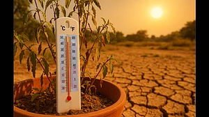 راجستھان شدید گرمی کی لپیٹ میں، گنگانگر میں درجہ حرارت 47 ڈگری سے متجاوز