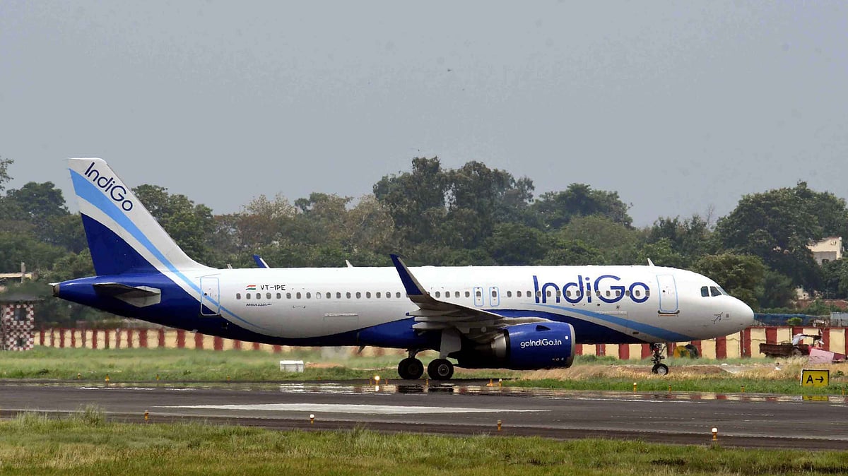<div class="paragraphs"><p>انڈیگو فلائٹ (فائل) / آئی اے این ایس</p></div>