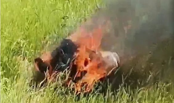 ہندوستانی فضائیہ کا ’جیگوار‘ راجستھان میں حادثہ کا شکار، پائلٹ سمیت 2 لوگوں کی موت