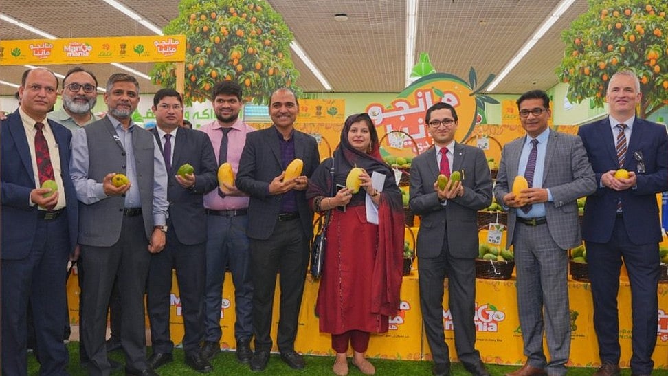 سعودی عرب کی راجدھانی ریاض اور دبئی میں ہندوستانی آموں کا جلوہ، ذائقے سے لوگوں کو بنا لیا دیوانہ