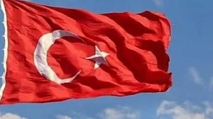 ترکی میں بڑے پیمانے پر جنگل میں آگ، لوگ انخلا پر مجبور
