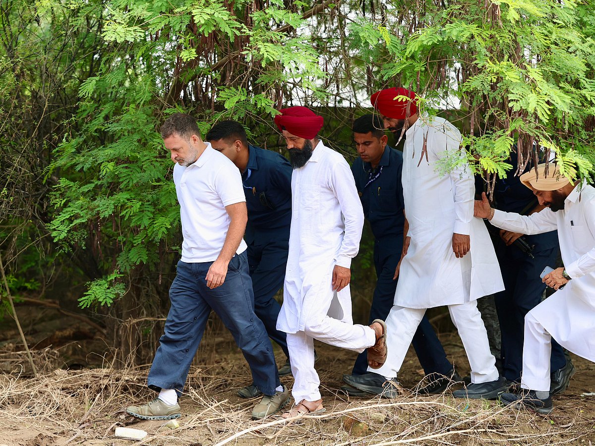 پنجاب میں سیلاب متاثرین کے ساتھ درد بانٹتے نظر آئے راہل گاندھی، دیکھیں تصویری جھلکیاں