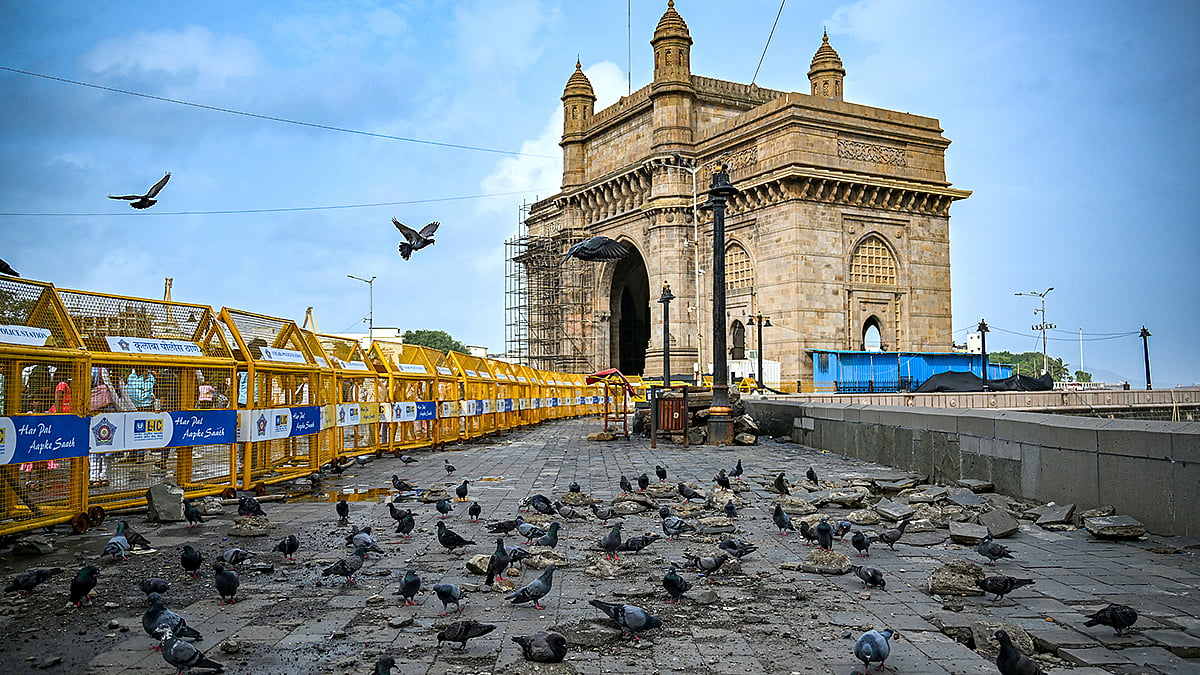 <div class="paragraphs"><p>ممبئی میں کبوتروں کی فائل تصویر / آئی اے این ایس</p></div>