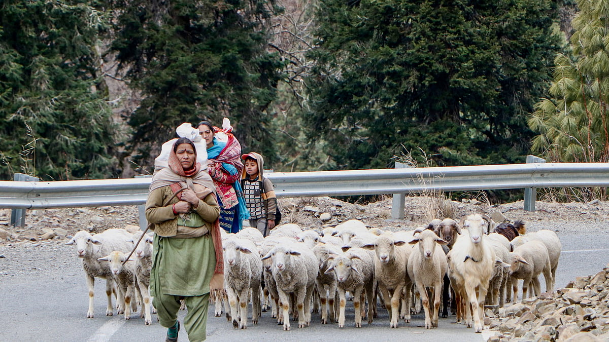 وادی کشمیر میں تیز آندھی سے خوف وہراس، جنگلات میں بھی آگ بھڑک اٹھی