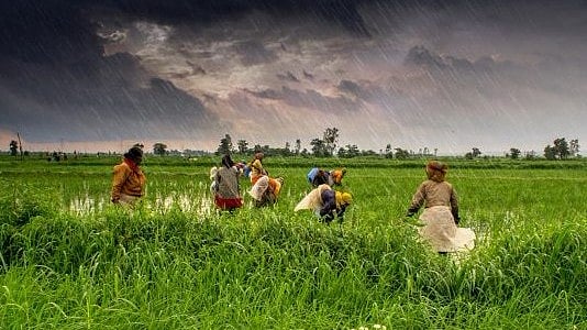 ہندوستان میں 10 فیصد کے پاس ہے 44 فیصد زمین، عالمی رپورٹ میں عدم مساوات کا انکشاف!