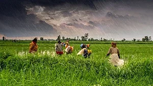 ہندوستان میں 10 فیصد کے پاس ہے 44 فیصد زمین، عالمی رپورٹ میں عدم مساوات کا انکشاف!