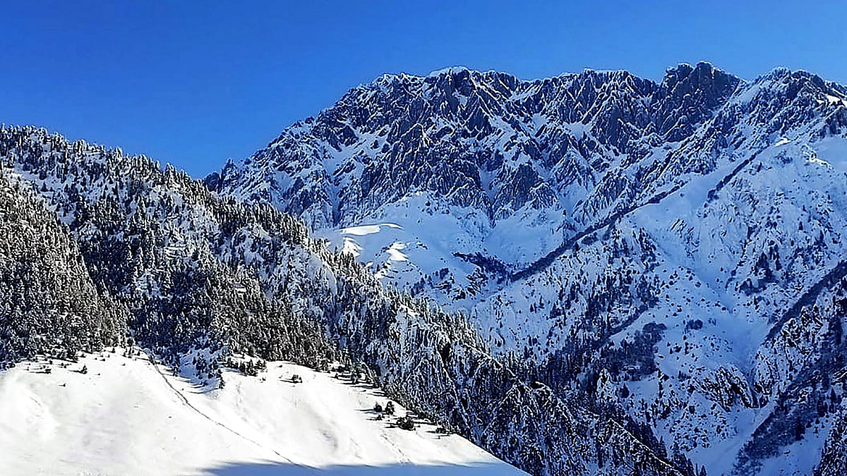 تصویر یو این آئی