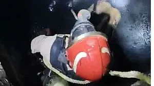 <div class="paragraphs"><p>ویڈیو گریب</p></div>
