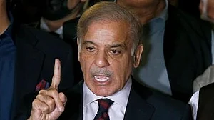 <div class="paragraphs"><p>پاکستانی وزیر اعظم شہباز شریف </p></div>