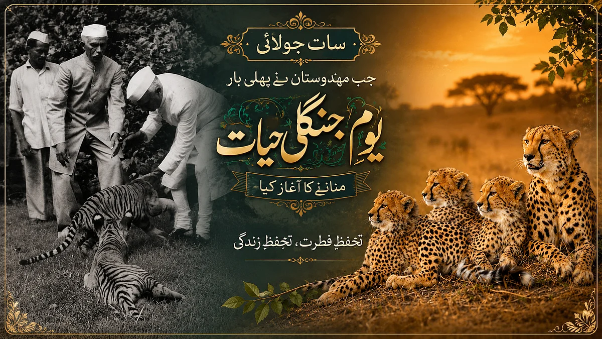 <div class="paragraphs"><p>یومِ جنگلی حیات</p></div>