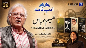 ویڈیو: ادب نامہ میں جدید اردو غزل کے ممتاز شاعر شمیم عباس کی شخصیت اور شاعری پر خصوصی نشست