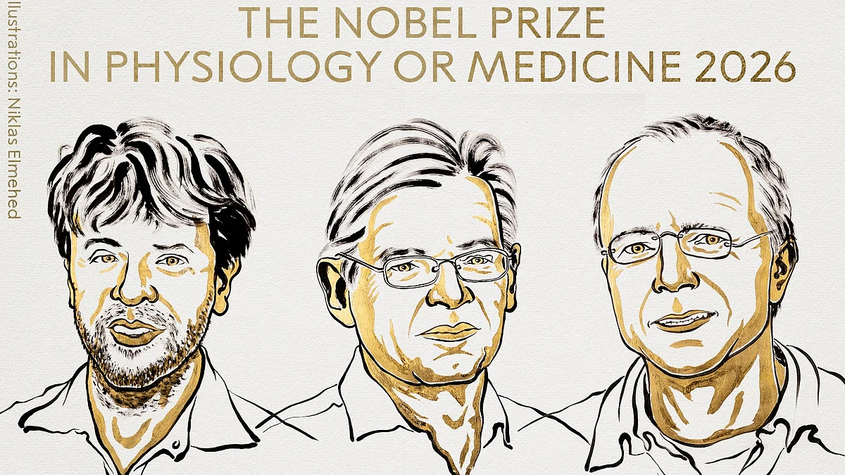 <div class="paragraphs"><p>تصویر سوشل میڈیا <a href="https://x.com/NobelPrize">@NobelPrize</a></p></div>