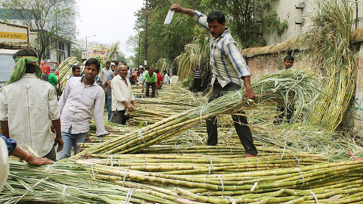 <div class="paragraphs"><p>آئی اے این ایس</p></div>