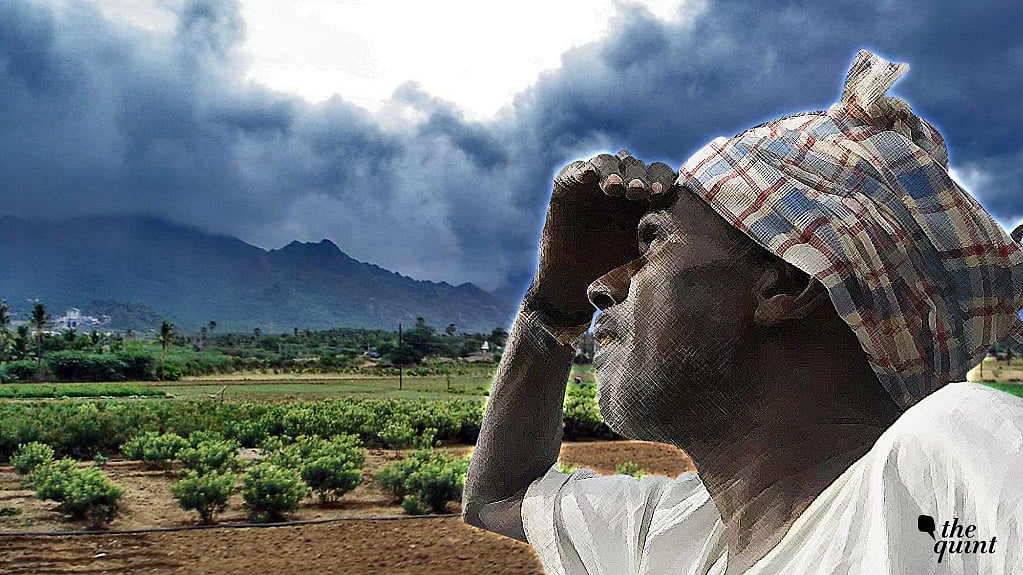 सामान्य मॉनसून से खरीफ सीजन में फसलों की पैदावार अच्छी होगी