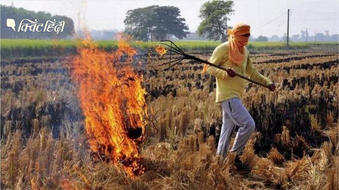 पराली जलाना कितना बड़ा मुद्दा है?