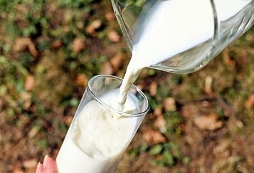 <div class="paragraphs"><p>Cow vs Buffalo Milk Difference</p></div>