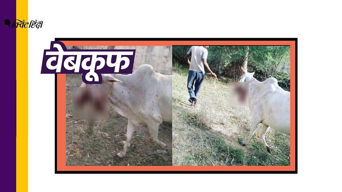 सोशल मीडिया पर वायरल हो रहा ये दावा