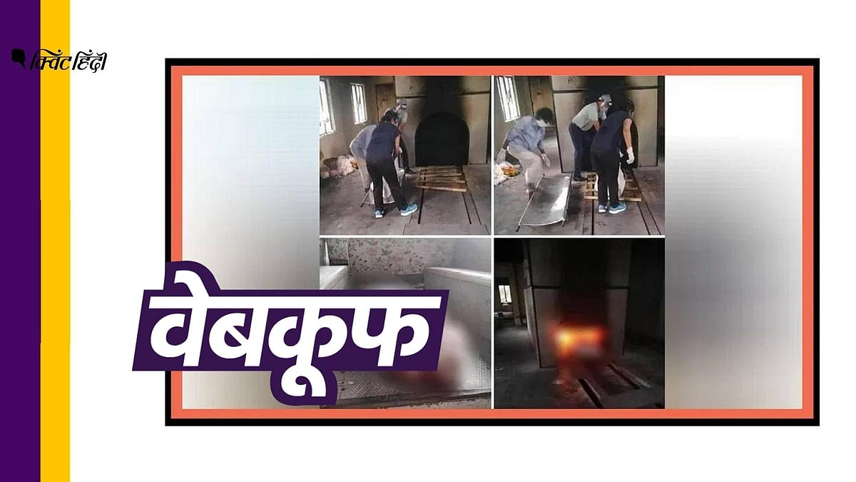 (फोटो: Altered by Quint)