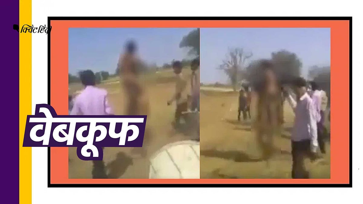 (Photo: Altered by Quint Hindi)