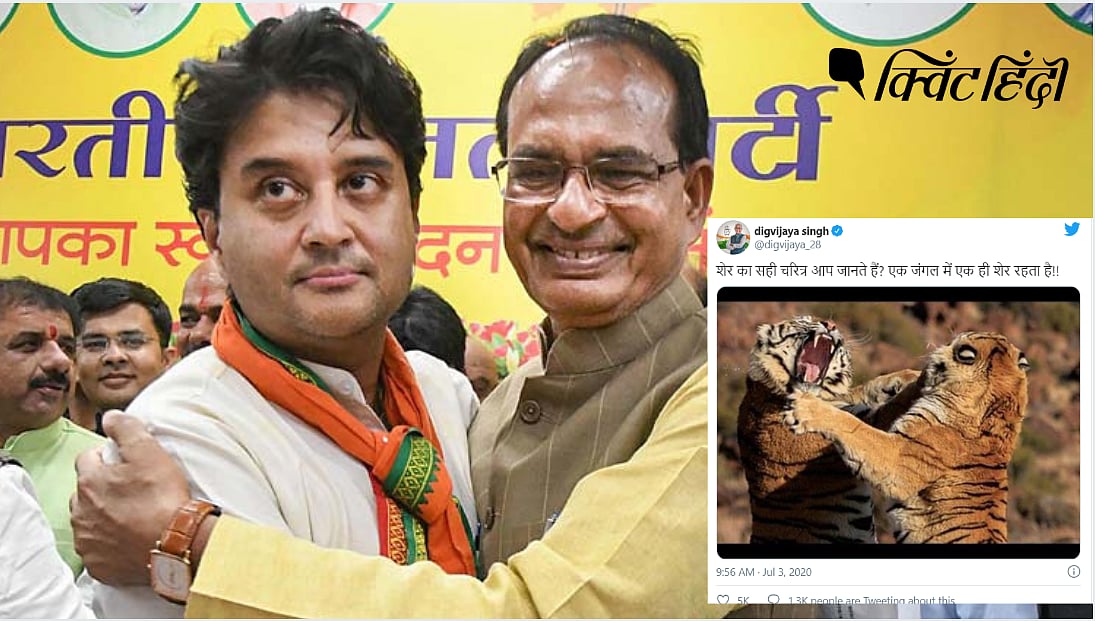 एमपी अजब भी है, गजब भी है. और यहां शेर भी कई हैं