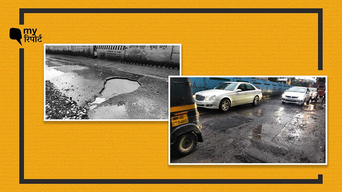 (फोटो: क्विंट हिंदी)