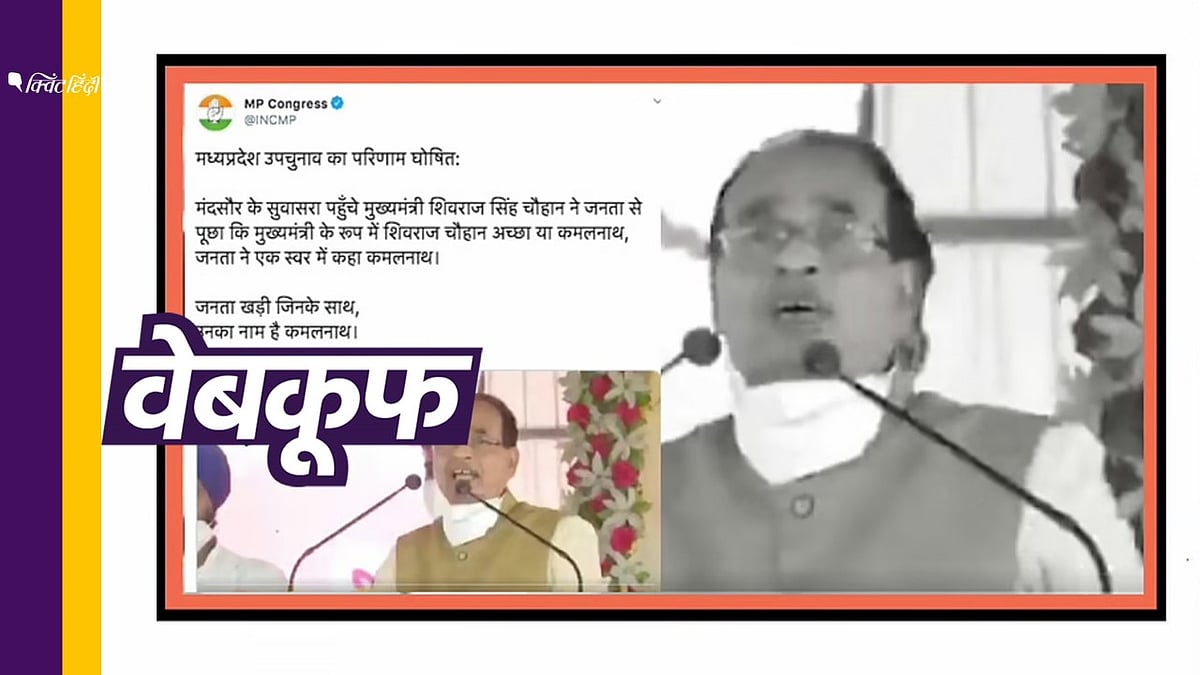(फोटो- क्विंट हिंदी)