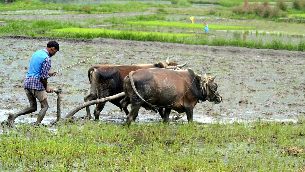 किसानों को MSP व्यवस्था खत्म होने का डर क्यों?