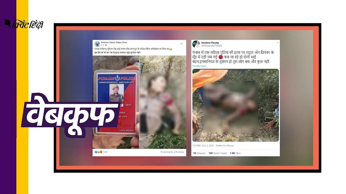 (फोटो: Altered by Quint)