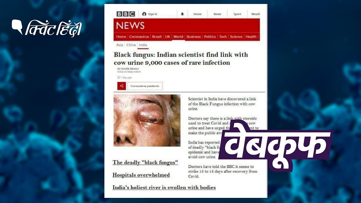 <div class="paragraphs"><p>BBC ने इस वायरल स्क्रीनशॉट को फेक बताया है.</p></div>