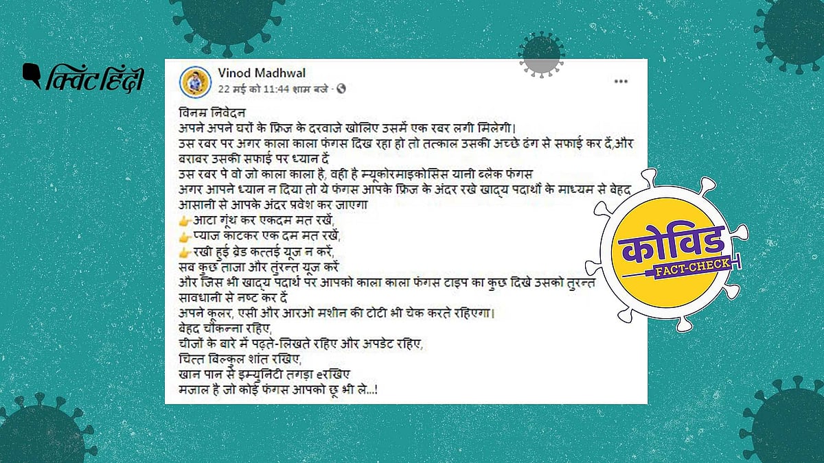 दावा किया जा रहा है कि फ्रिज मेंं जमी काली फफूंद ही ब्लैक फंगस है 