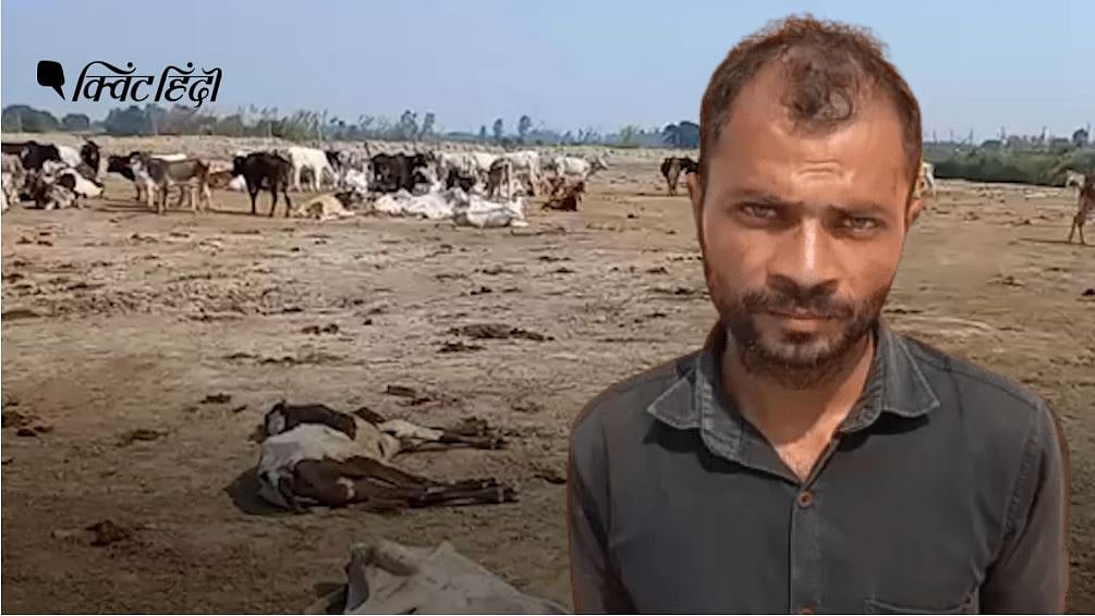 <div class="paragraphs"><p>ग्रामीणों का आरोप गोशाला में जिन्दा दफनाई जा रही थी गायें, पुलिस ने नकारा</p></div>