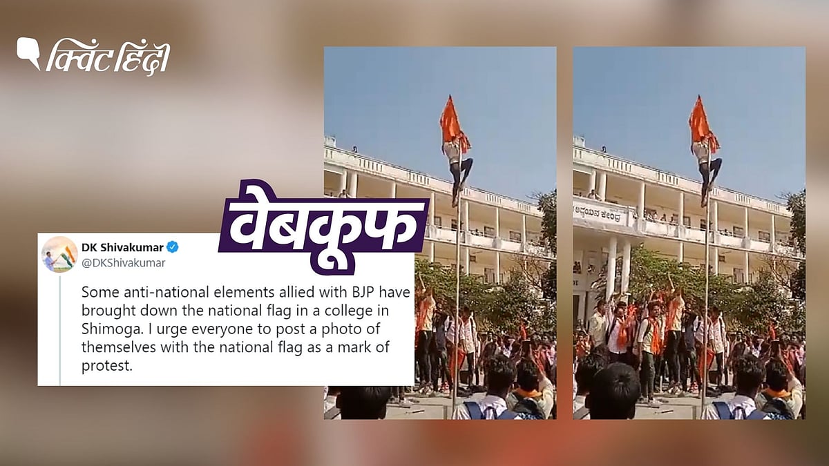 <div class="paragraphs"><p>कॉलेज के प्रिंसिपल ने बताया कि जब भगवा झंडा फहराया गया तब पोल खाली था.</p></div>
