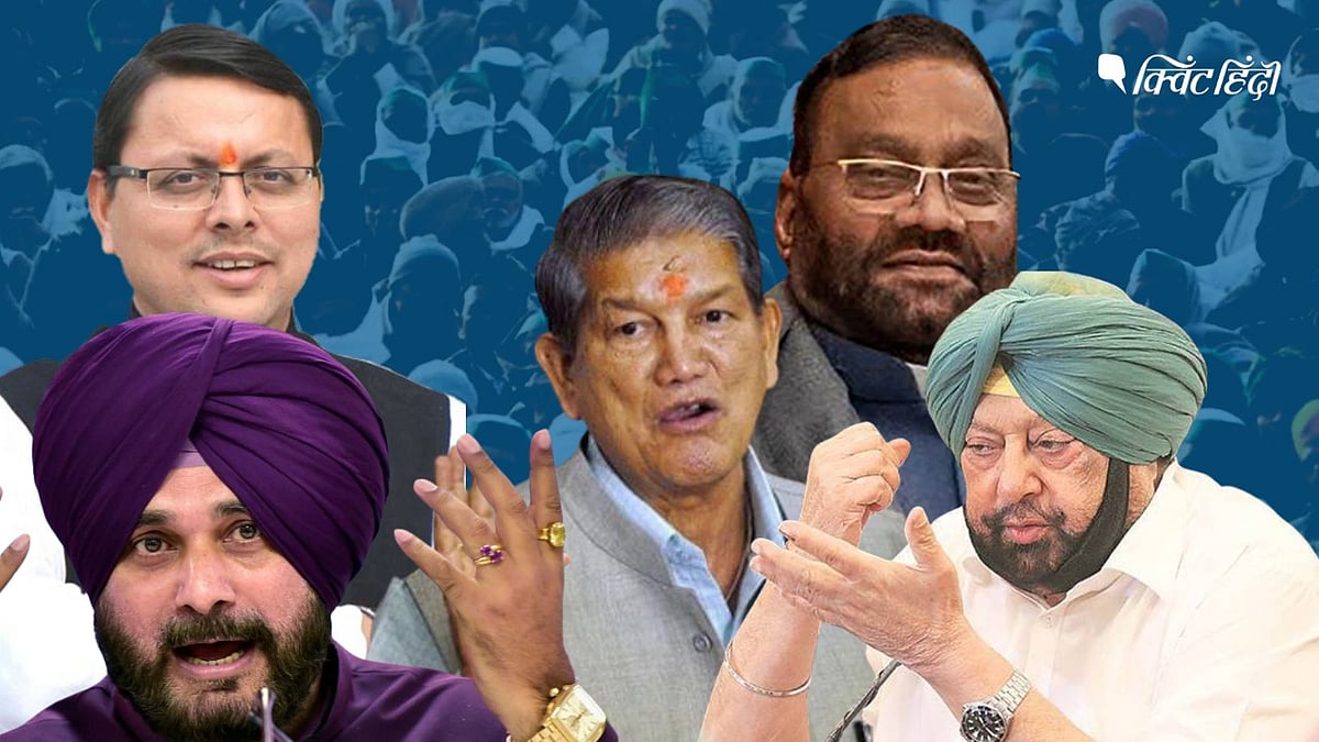 <div class="paragraphs"><p>Election Reults: चुनावी मैदान के ‘8 बब्बर शेर’, नतीजे आते ही हो गए ढेर</p></div>