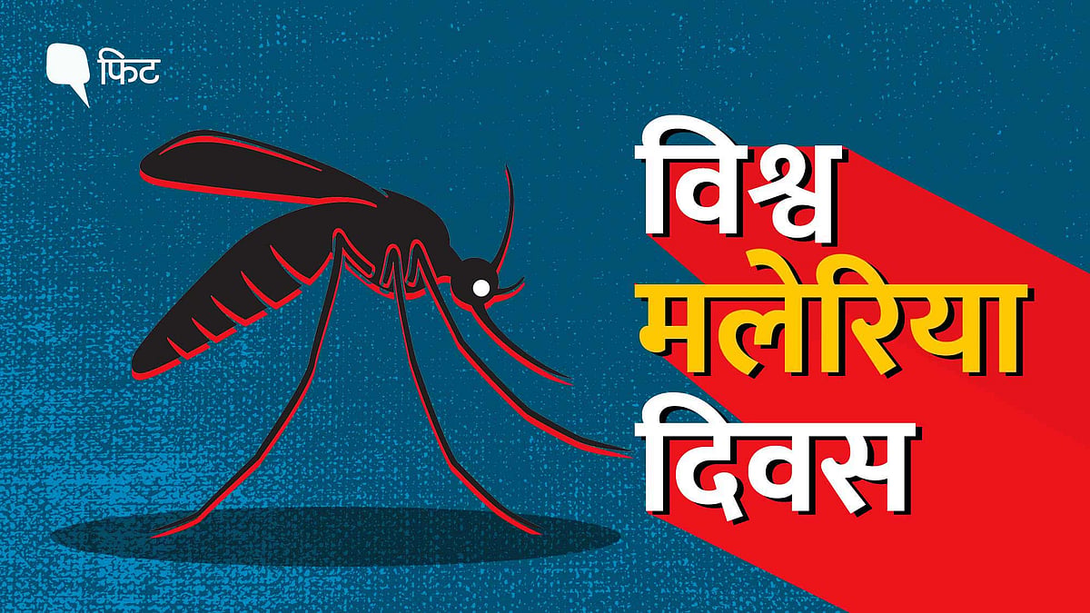 <div class="paragraphs"><p>World Malaria Day | </p></div>