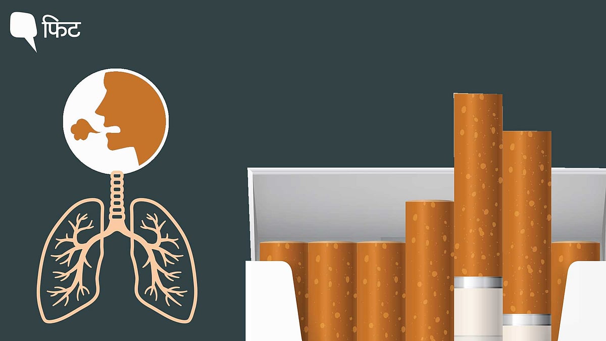 <div class="paragraphs"><p>World No Tobacco Day पर यहां देखें कि दिन बीतने के साथ धूम्रपान आपके शरीर को कैसे प्रभावित करता है.</p></div>