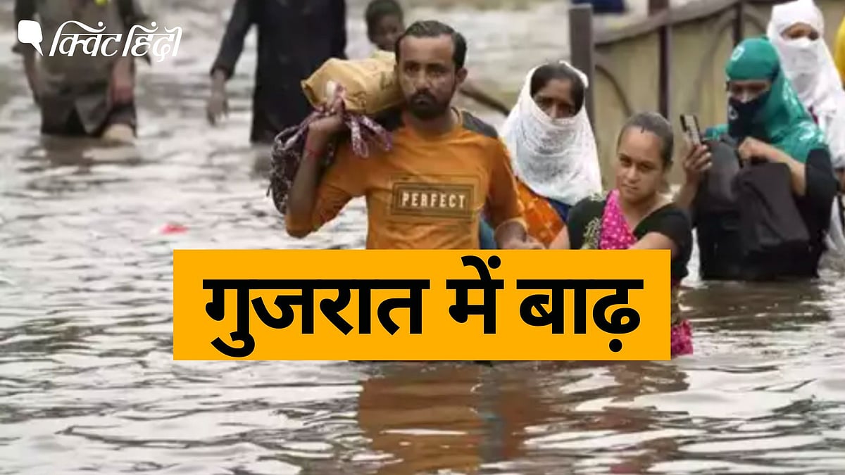 <div class="paragraphs"><p>Gujarat Flood:बाढ़ से हालात बिगड़े, 8 जिलों में रेड अलर्ट-बिजली गिरने से 63 की मौत</p></div>