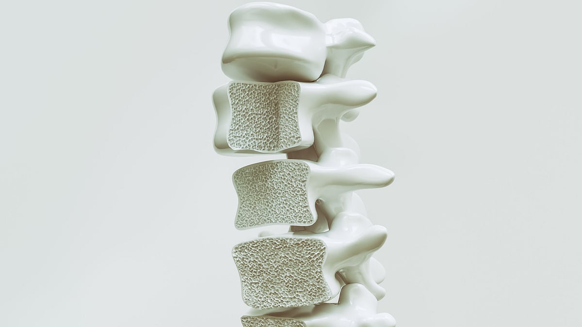 <div class="paragraphs"><p>Osteoporosis है हड्डियों की ऐसी बीमारी जो व्यक्ति के शरीर को धीरे-धीरे कमजोर बना देती है.</p></div>