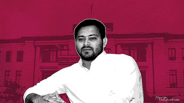<div class="paragraphs"><p>पूर्व क्रिकेटर, 2 बार के डिप्टी CM, बिहार के सबसे बड़े नेता: तेजस्वी यादव का उदय</p></div>