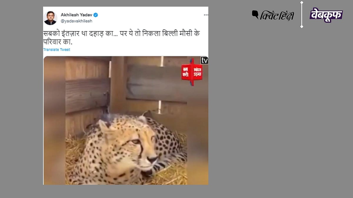 <div class="paragraphs"><p>म्याऊ करते चीते का वीडियो कुनो नेशनल पार्क में चीते आने से 10 महीने पुराना है</p></div>