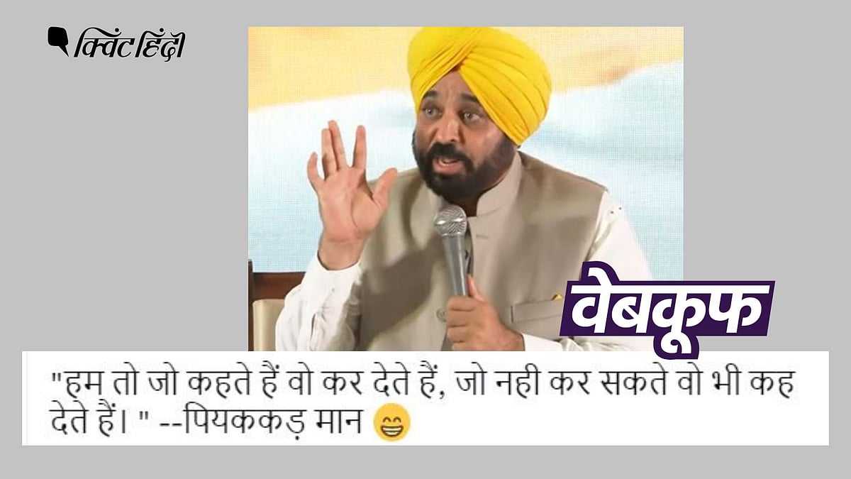 <div class="paragraphs"><p>भगवंत मान के इस वीडियो में उनकी बोली गई आखिरी लाइन हटा दी गई है</p></div>