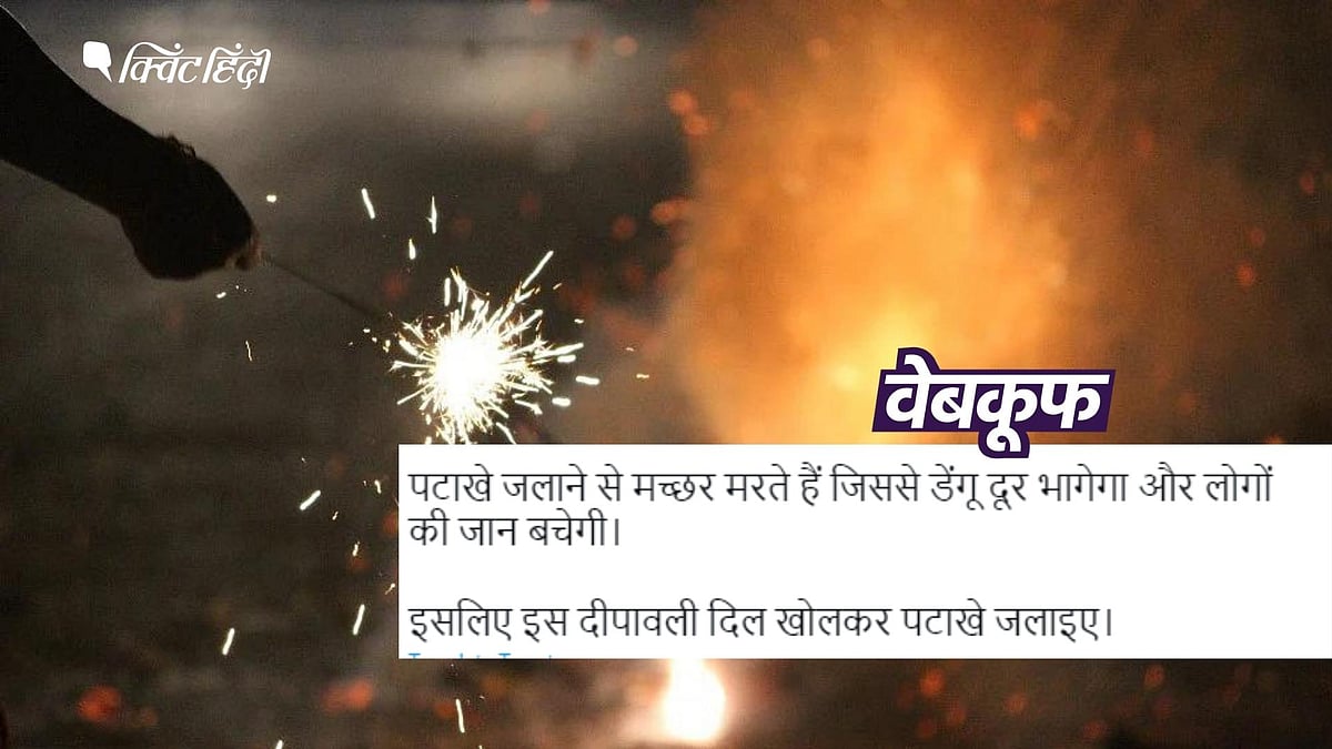 <div class="paragraphs"><p>वायरल मैसेज में पटाखे जलाने के फायदे गिनाए जा रहे हैं</p></div>