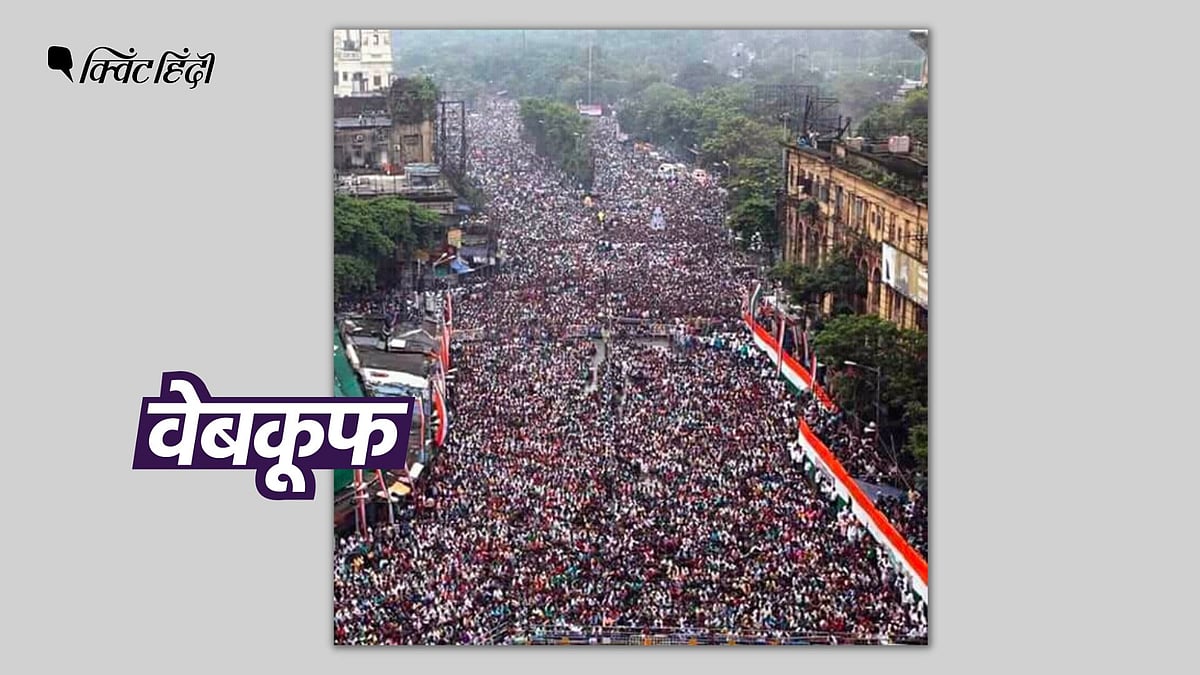<div class="paragraphs"><p>कोलकाता की 5 साल पुरानी फोटो, गुजरात में AAP के रोड शो की बता वायरल</p></div>