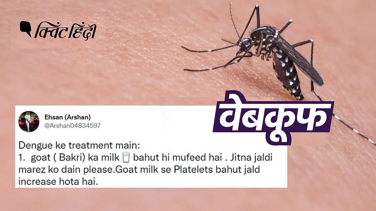 <div class="paragraphs"><p>बकरी के दूध से डेंगू को ठीक करने से जुड़ा कोई वैज्ञानिक प्रमाण नहीं है.</p></div>