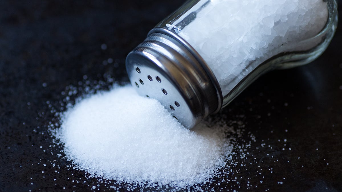 <div class="paragraphs"><p>Too Much Salt: नमक के बारे में कुछ डरावनी हकीकतों से रूबरू होते हैं</p></div>