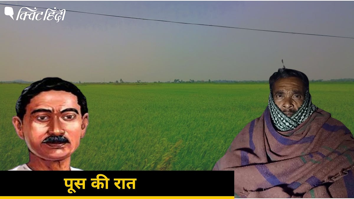 <div class="paragraphs"><p>100 साल बाद हाड़ कंपाती ठंड में ठिठुर रहा 'हल्कू'</p></div>